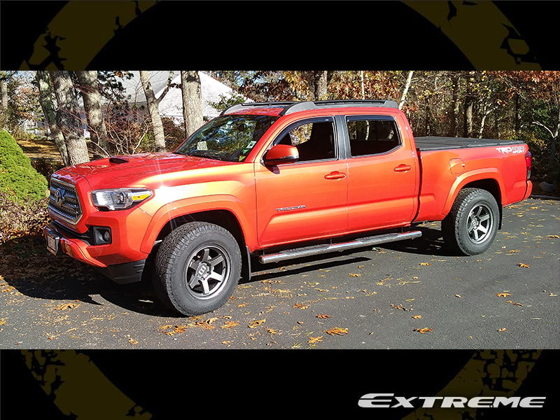 extreme customs