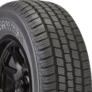 Ironman Radial A/P Tire