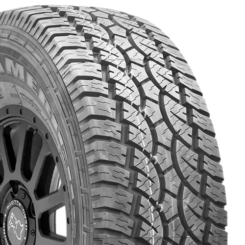 Americus Rugged All Terrain Photo