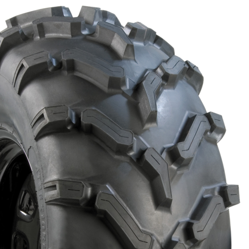 Carlstar ACT XLR Photo