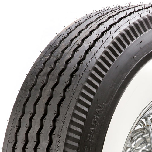 Diamond Back Auburn Photo