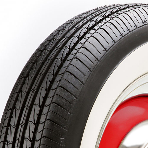 Diamond Back Thirteen Photo