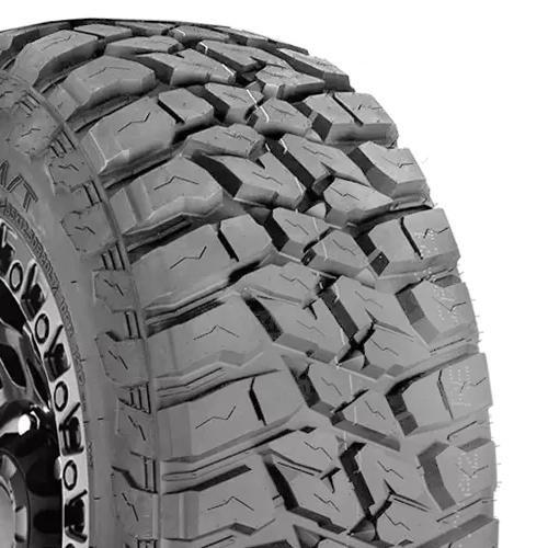 Landspider Wildtraxx MT Photo