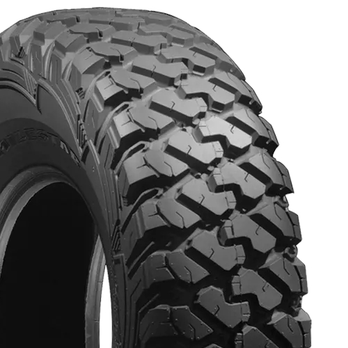 Milestar Patagonia SXS Photo